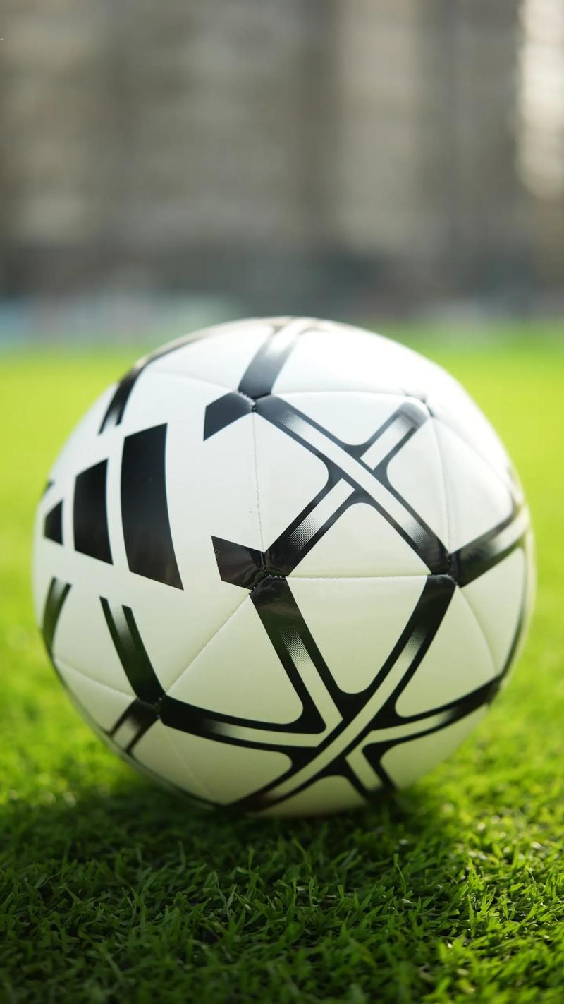 胜负彩第21125期推荐使用流程